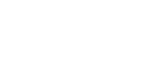 Snowflake Logo White