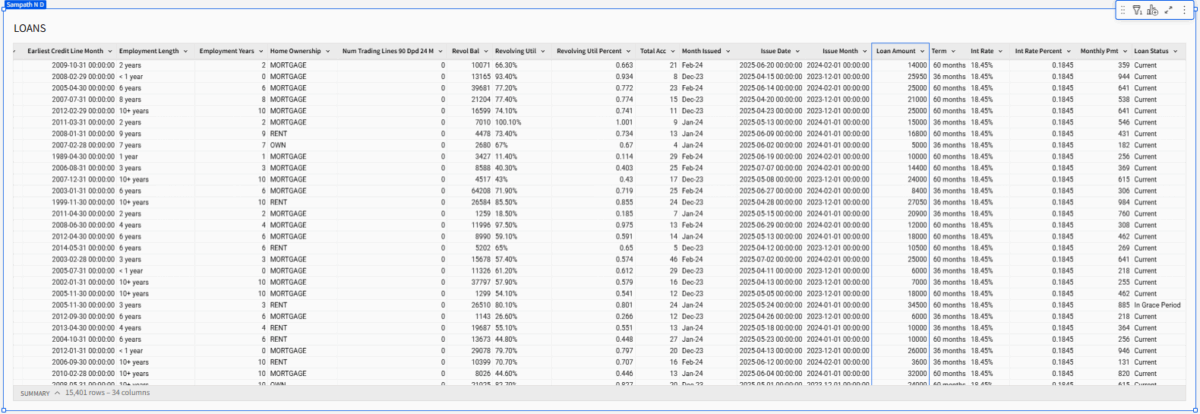 The full rows / columns view of the dataset