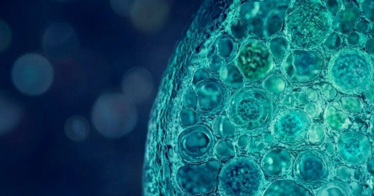 Life Sciences Data Management Platform vs ERP